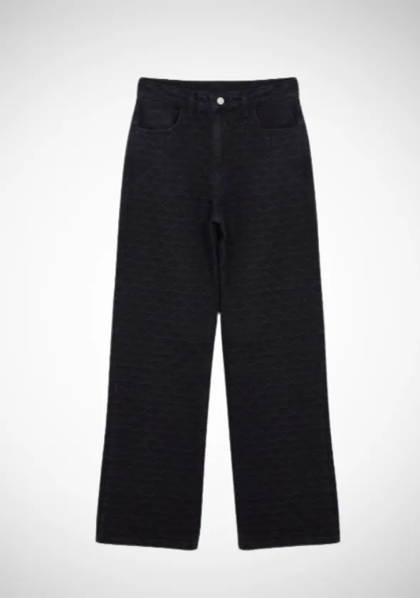 Trendy Women High Rise Textured Jeans